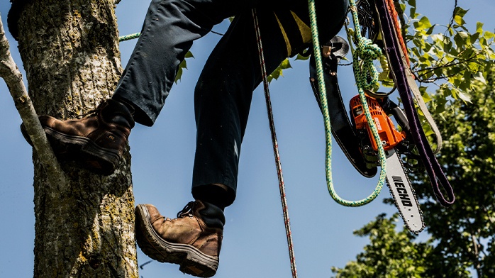 Chainsaws - echo top handle