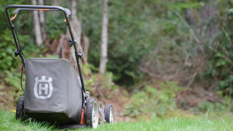 Husqvarna push mower with grass catcher parked on a green lawn at the edge of a forest