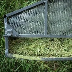 Grass Gobbler